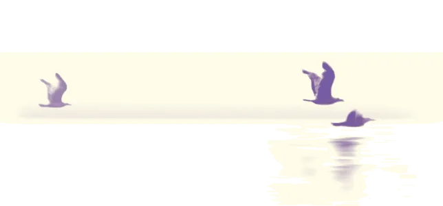 Resources Resources